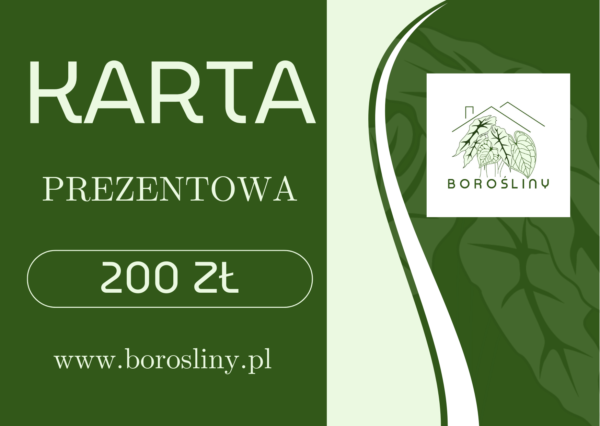 Karta Prezentowa - obrazek 2
