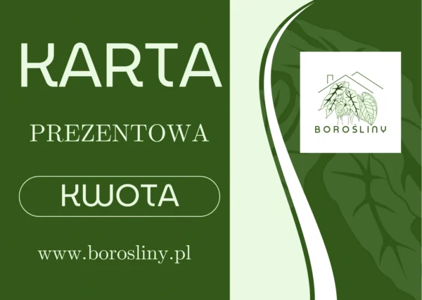 Karta Prezentowa