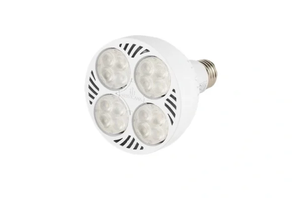 Verticana Żarówka LED 35W + Clip Holder Doświetlanie Roślin - obrazek 8