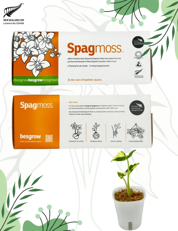Mech Classic Euro Sphagnum Naturalny Besgrow Sphagmoss 150g/12l Nowozelandzki - obrazek 2