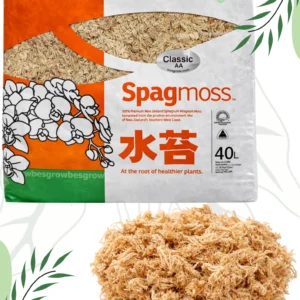 Mech Classic AA Sphagnum Naturalny Besgrow Sphagmoss 500g 40l Nowozelandzki