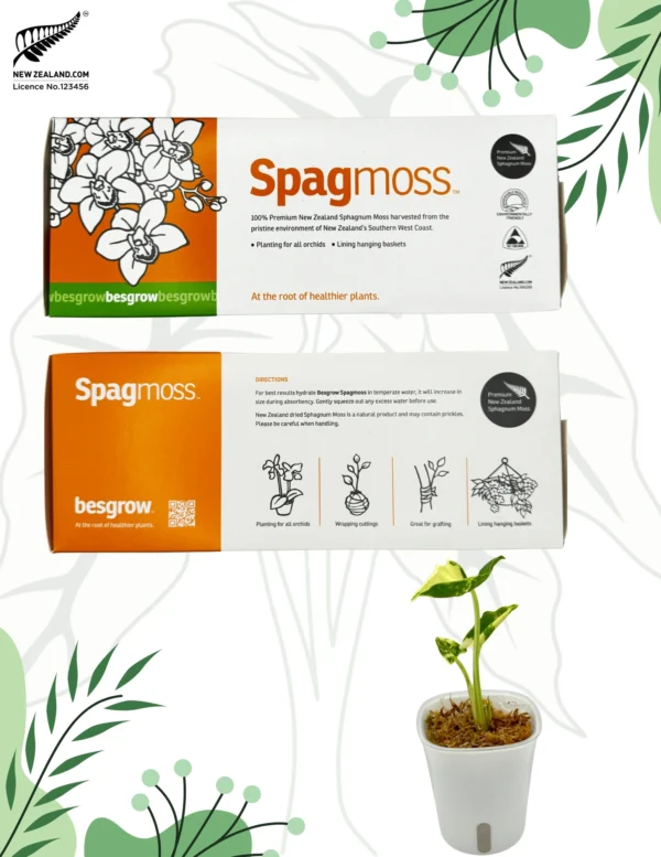 Mech Premier Sphagnum Naturalny Besgrow Sphagmoss 150g/12l Nowozelandzki - obrazek 2