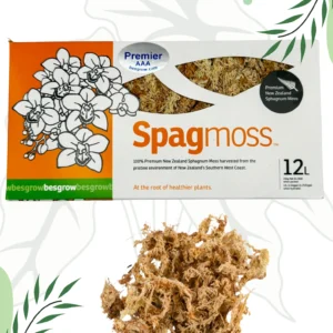 Mech Premier Sphagnum Naturalny Besgrow Sphagmoss 150g/12l Nowozelandzki