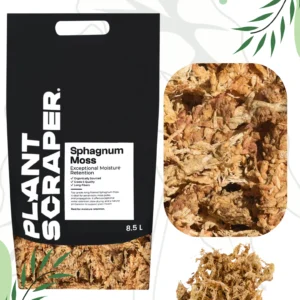 Mech Premium sphagnum 300 g – naturalny, ekologiczny mech torfowiec do roślin, rozmnażanie, wypełnienie palików