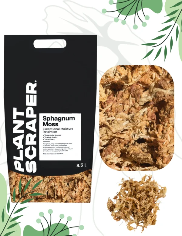 Mech Premium sphagnum 300 g – naturalny, ekologiczny mech torfowiec do roślin, rozmnażanie, wypełnienie palików