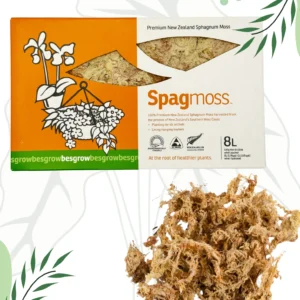 Mech Premium New Zeland Sphagnum Naturalny Besgrow Sphagmoss 100g/8l Nowozelandzki