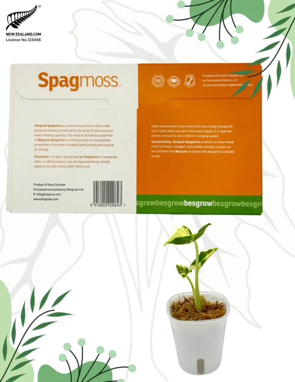 Mech Premium New Zeland Sphagnum Naturalny Besgrow Sphagmoss 100g/8l Nowozelandzki - obrazek 2