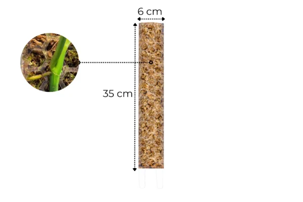 Palik na mech M 35cm Transparentny Podpora Dla Roślin - obrazek 2