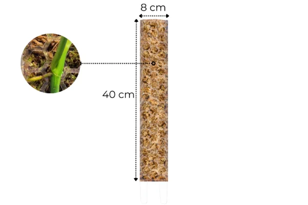 Palik na mech L 40cm Transparentny Podpora Dla Roślin - obrazek 2