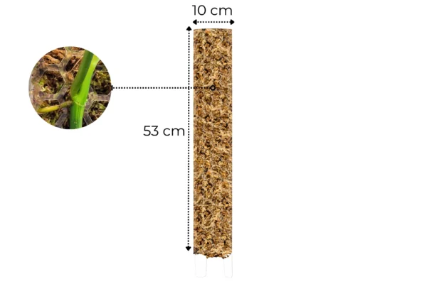 Palik na mech XL 53cm Transparentny Podpora Dla Roślin - obrazek 2