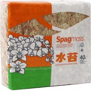Mech Blended Sphagnum Naturalny Besgrow Sphagmoss 500g/40l Nowozelandzki - obrazek 2