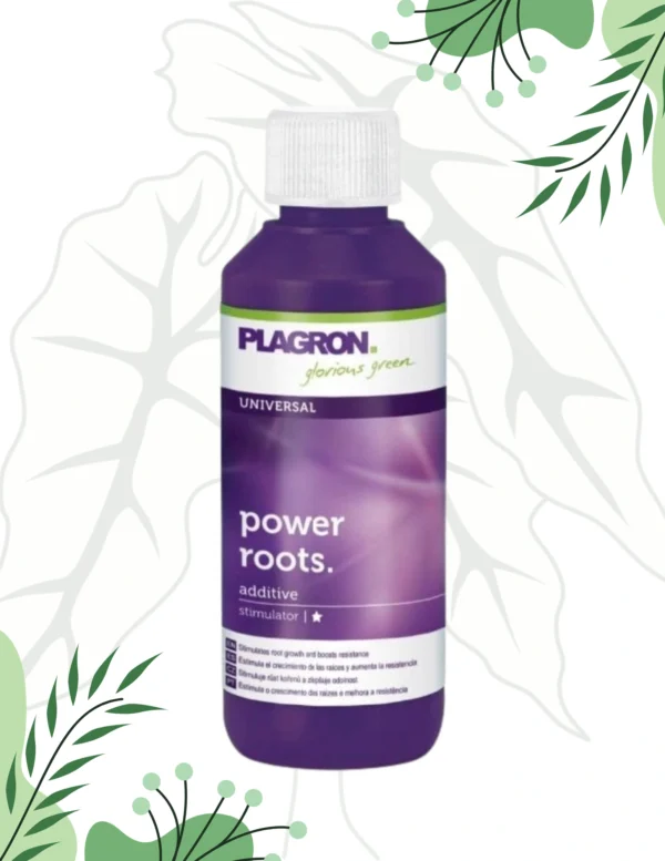 Nawóz Plagron power roots 100ml  Na ukorzenianie