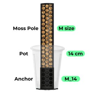 Baza na palik XL (Doniczka 24cm) - obrazek 4