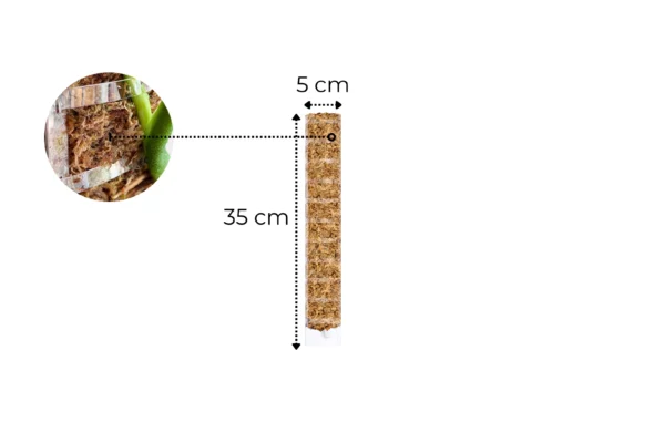 Palik na mech M - 35cm Transparentny Otwierany od przodu - obrazek 2
