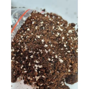 Bigos Gotowe Podłoże Dla Maranty, Calathea 5L - obrazek 3