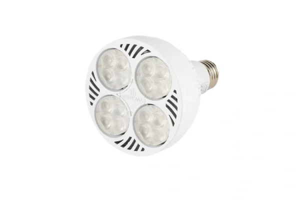 Verticana Żarówka LED 3x + Holder + Szyna Doświetlanie Roślin - obrazek 9