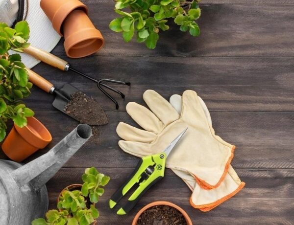 Sekator Herbgarden Trimming Scissors Cięcie Roślin - obrazek 5