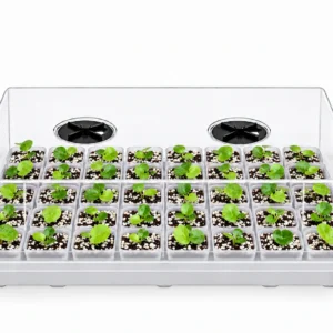 Propagator do wysiewu i ukorzeniania 40 sadzonek